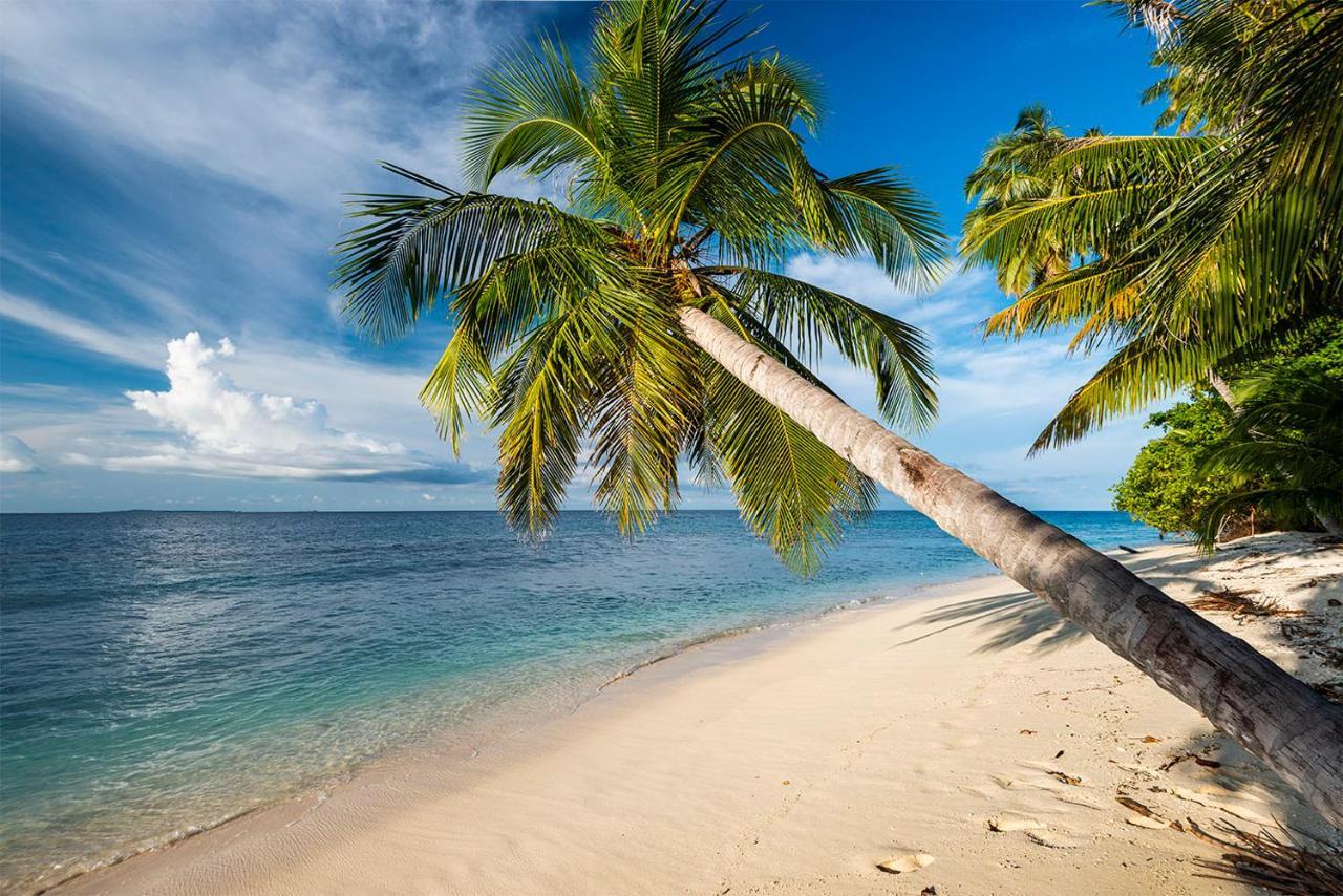 Pinang Island - Private Island Sea View Bungalows Singkil  エクステリア 写真