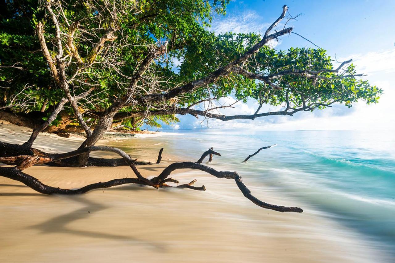 Pinang Island - Private Island Sea View Bungalows Singkil  エクステリア 写真