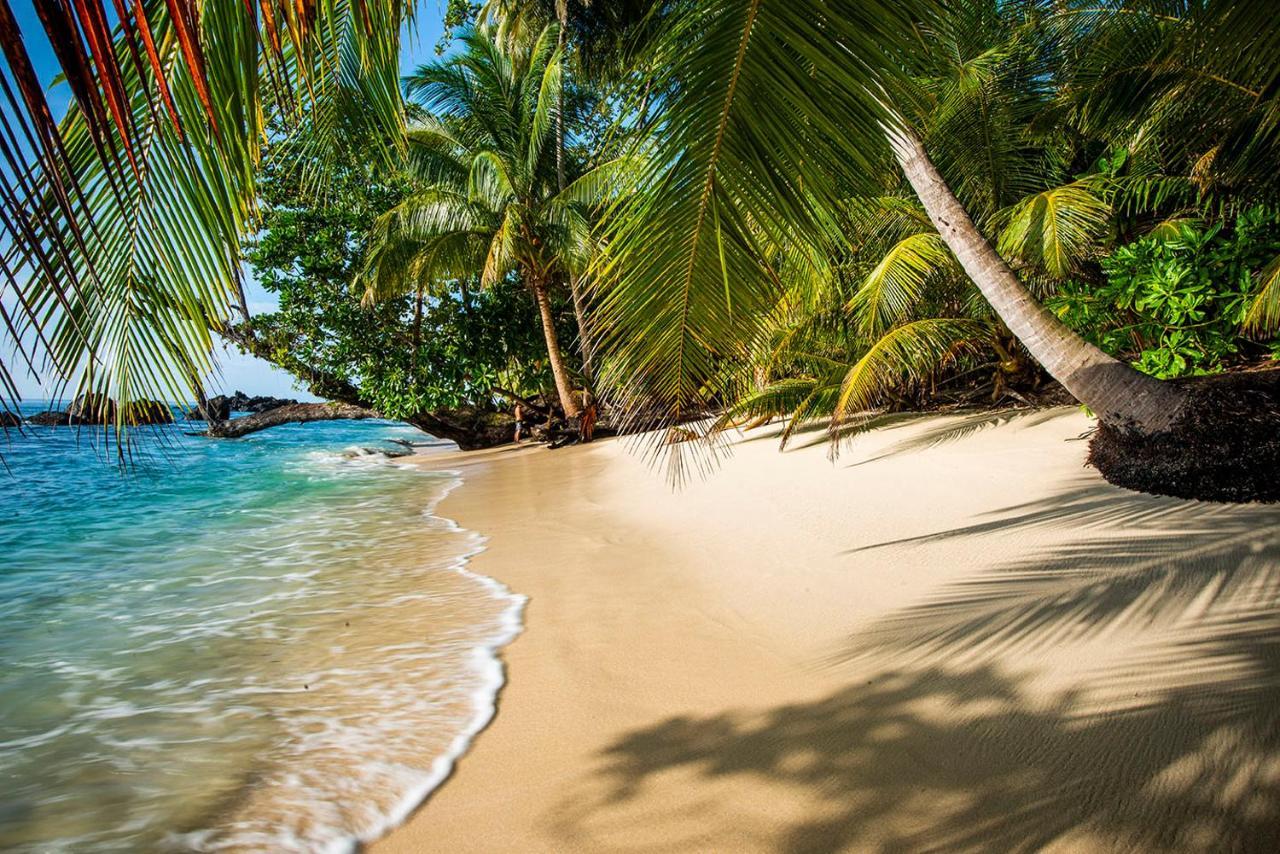 Pinang Island - Private Island Sea View Bungalows Singkil  エクステリア 写真
