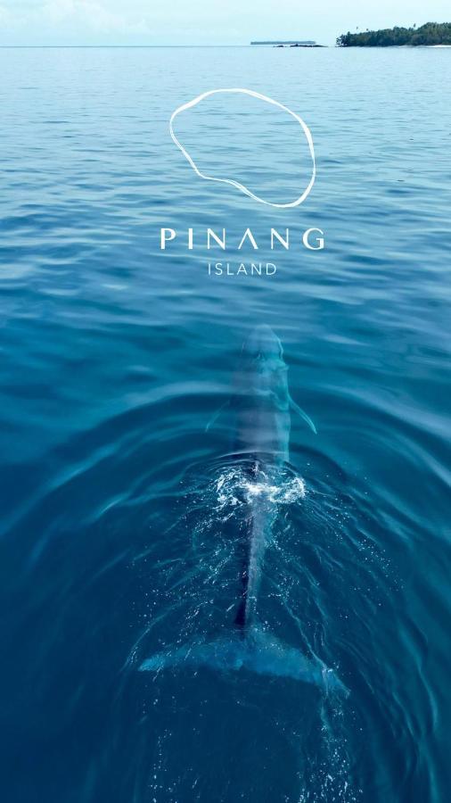Pinang Island - Private Island Sea View Bungalows Singkil  エクステリア 写真
